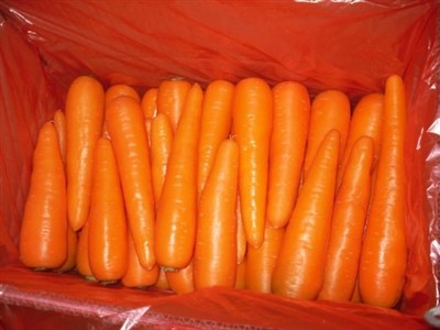 Carton de zanahorias de 10 kg